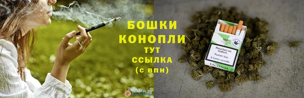 тгк Переславль-Залесский