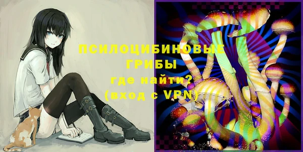 mix Пересвет