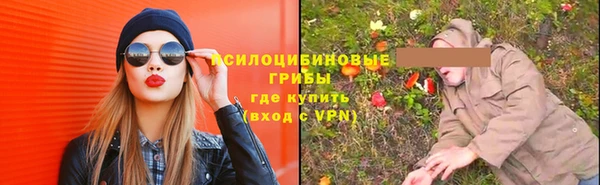 mix Пересвет