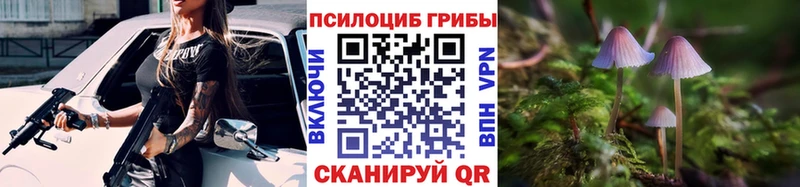 kraken маркетплейс  где продают наркотики  Макаров  darknet Telegram  Псилоцибиновые грибы ЛСД 