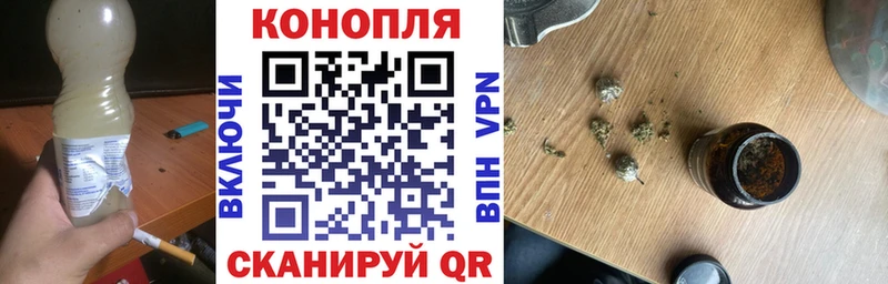 Каннабис конопля  где купить наркотик  Макаров 